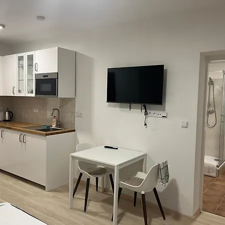 Apartahotel Litovelské *