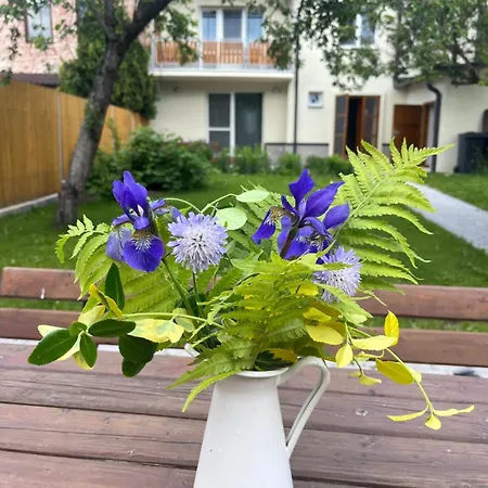 Lejlighedshotel Litovelske *