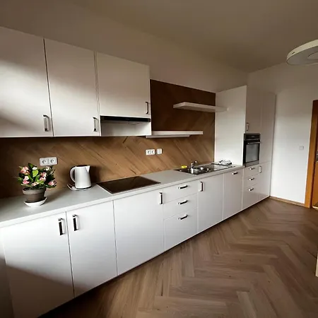 Lejlighedshotel Litovelske *